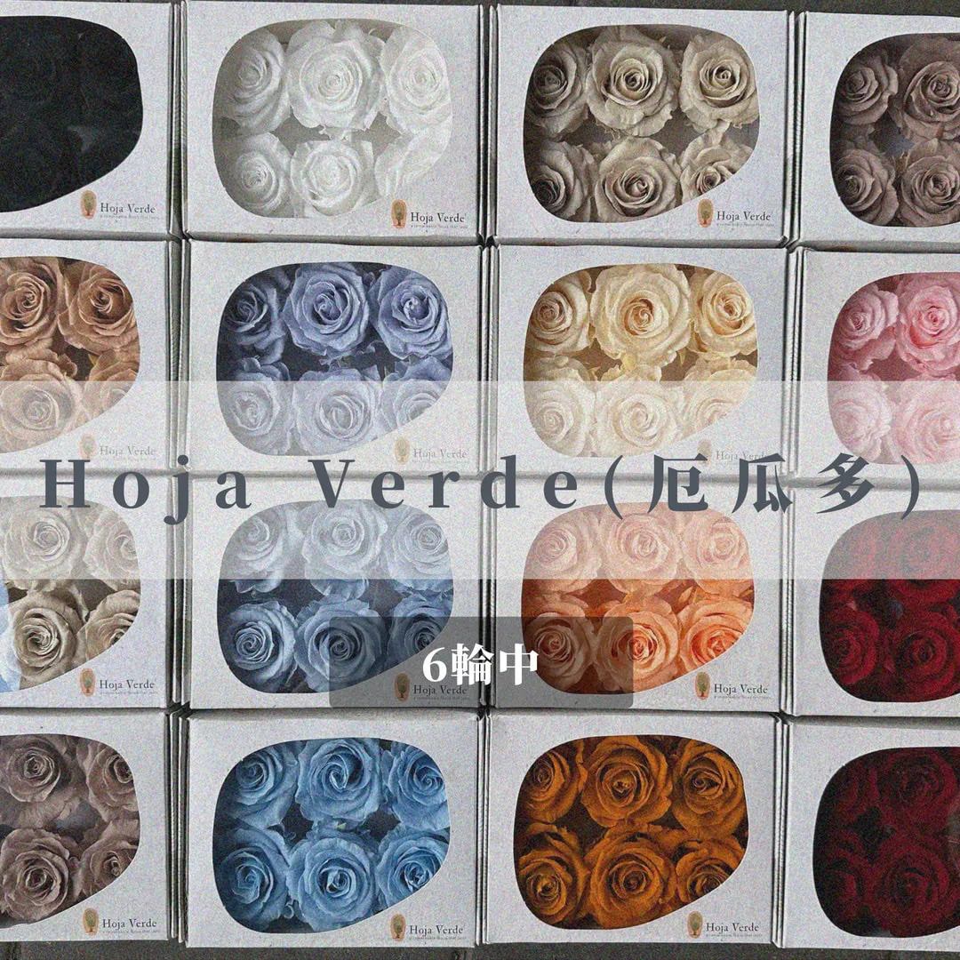 Hoja Verde(厄瓜多)6輪中