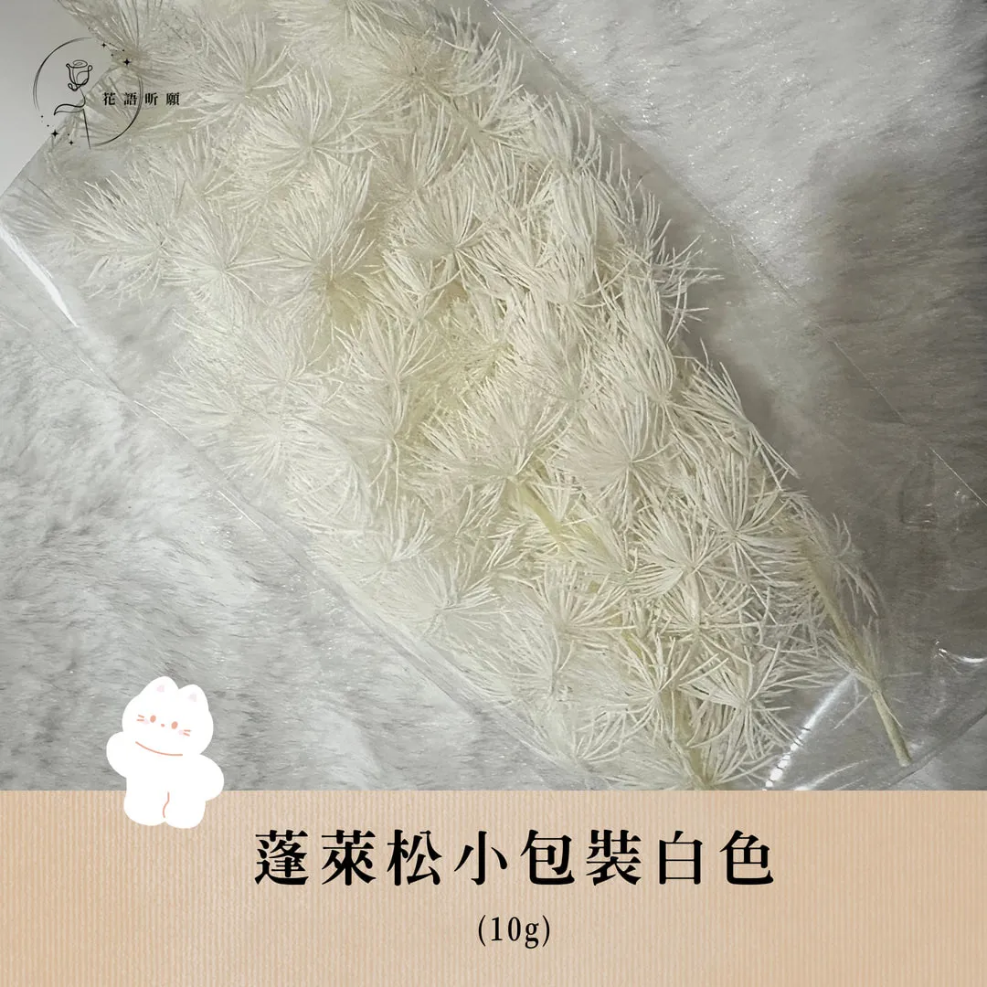 蓬萊松10g小包裝