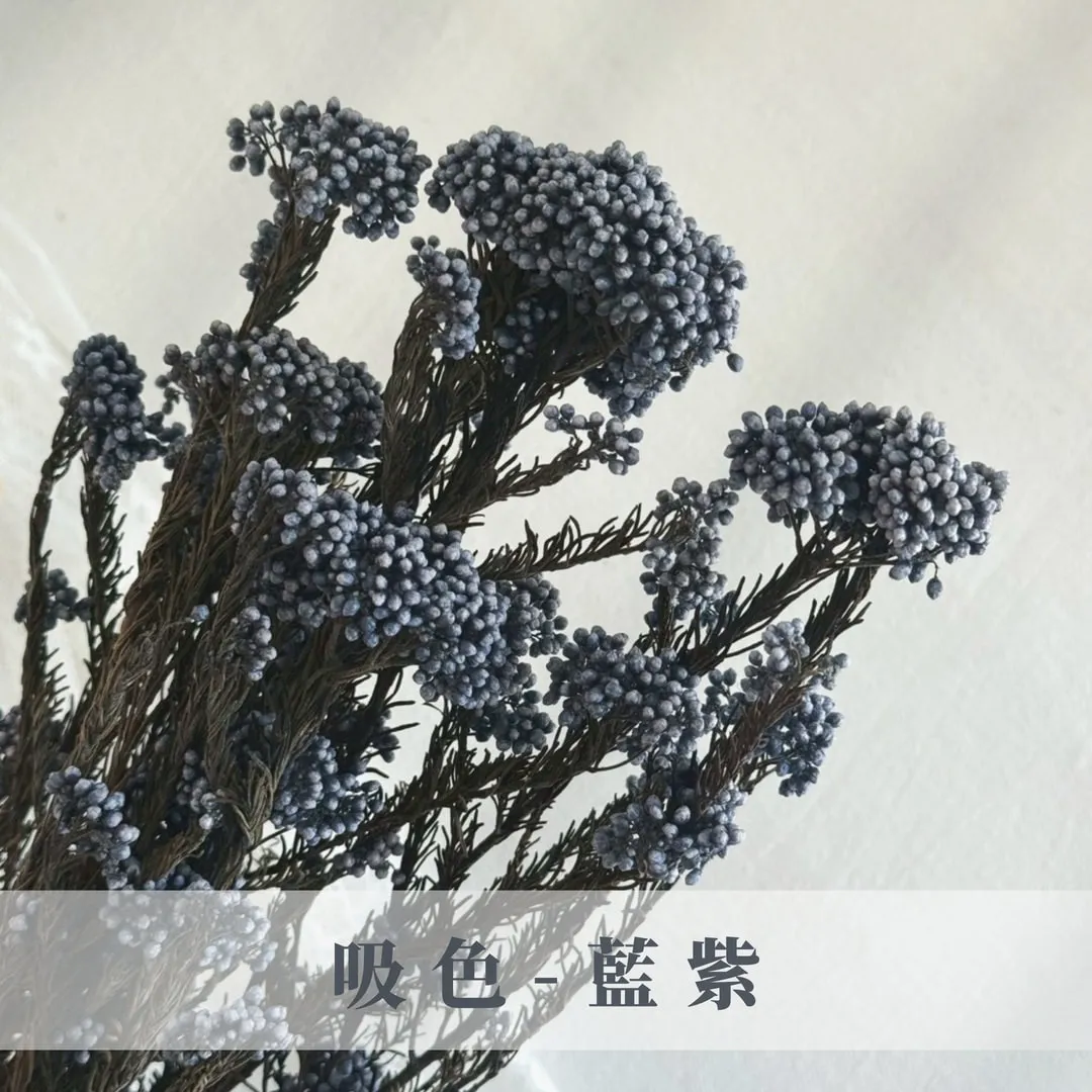 永生不凋吸色/漂色小米花