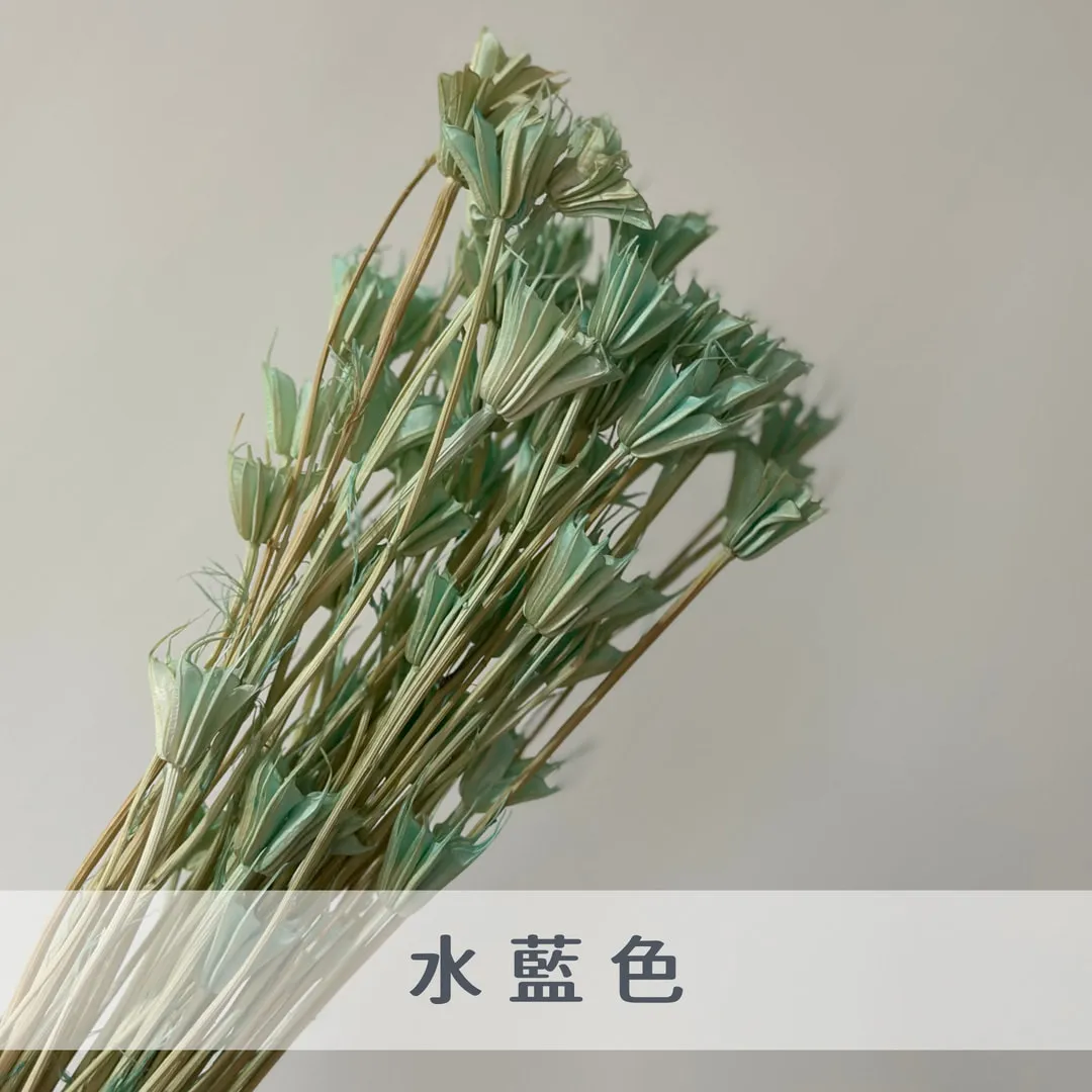 乾燥木百合（八角花）