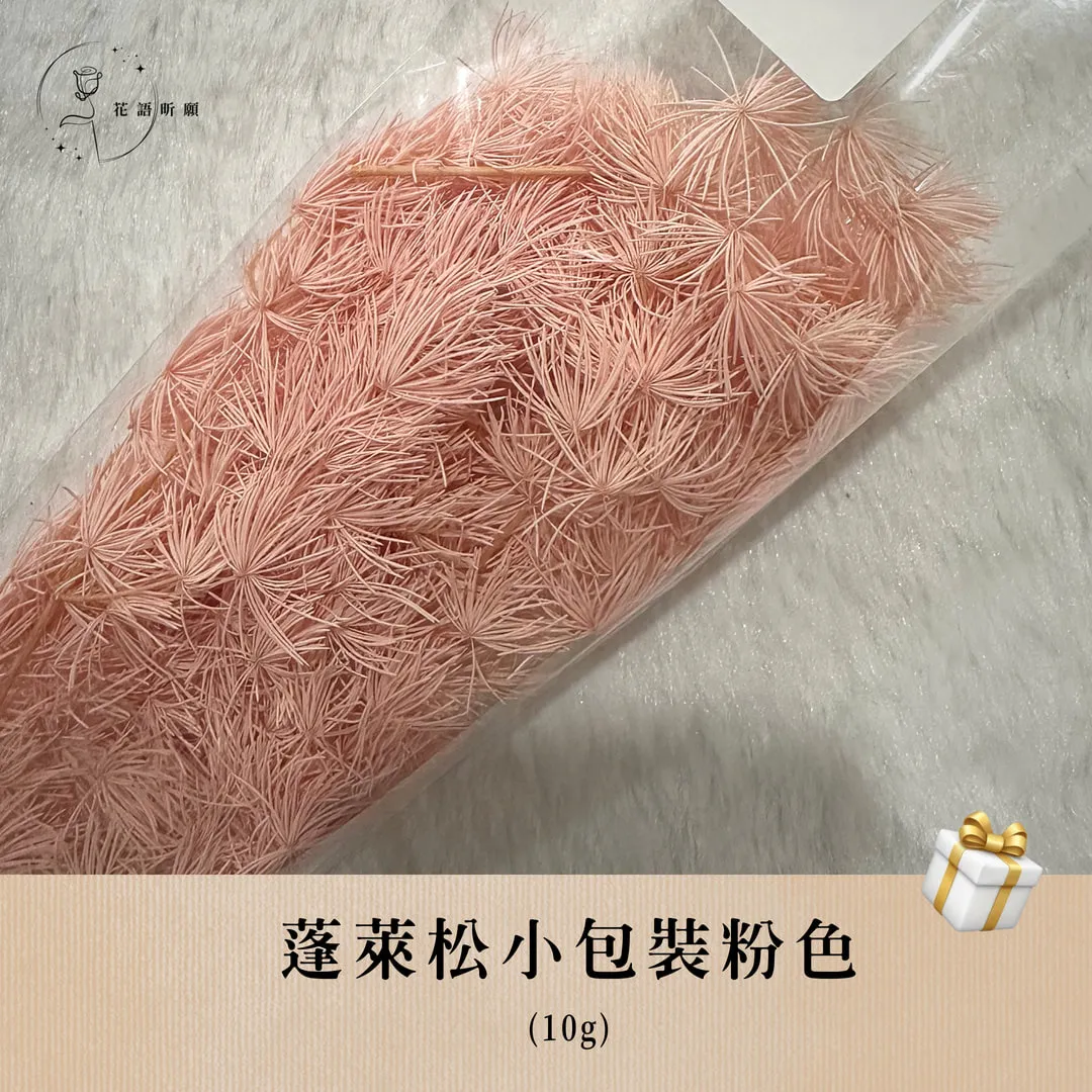 蓬萊松10g小包裝