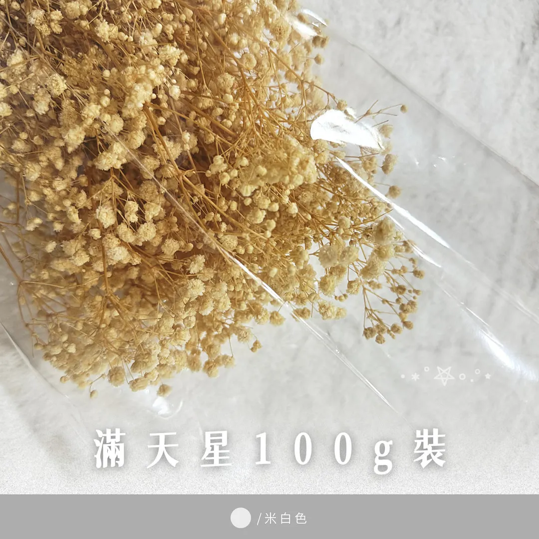 滿天星100g