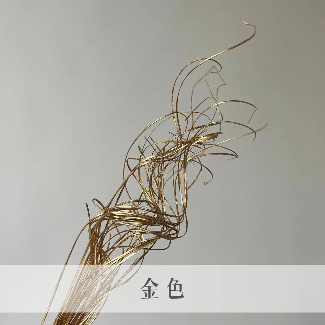 荷蘭乾燥彎彎草