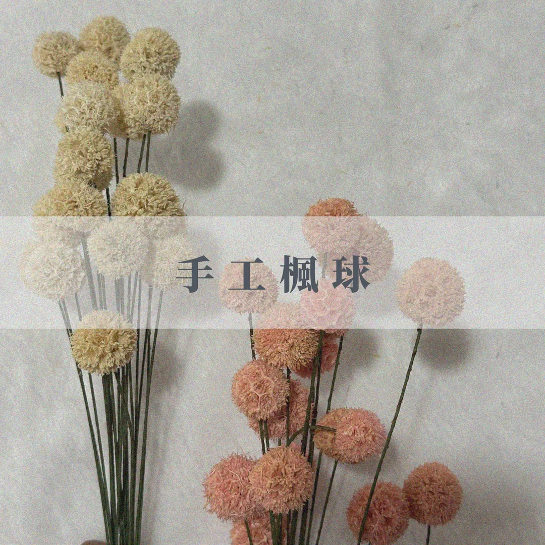 乾燥手工楓球
