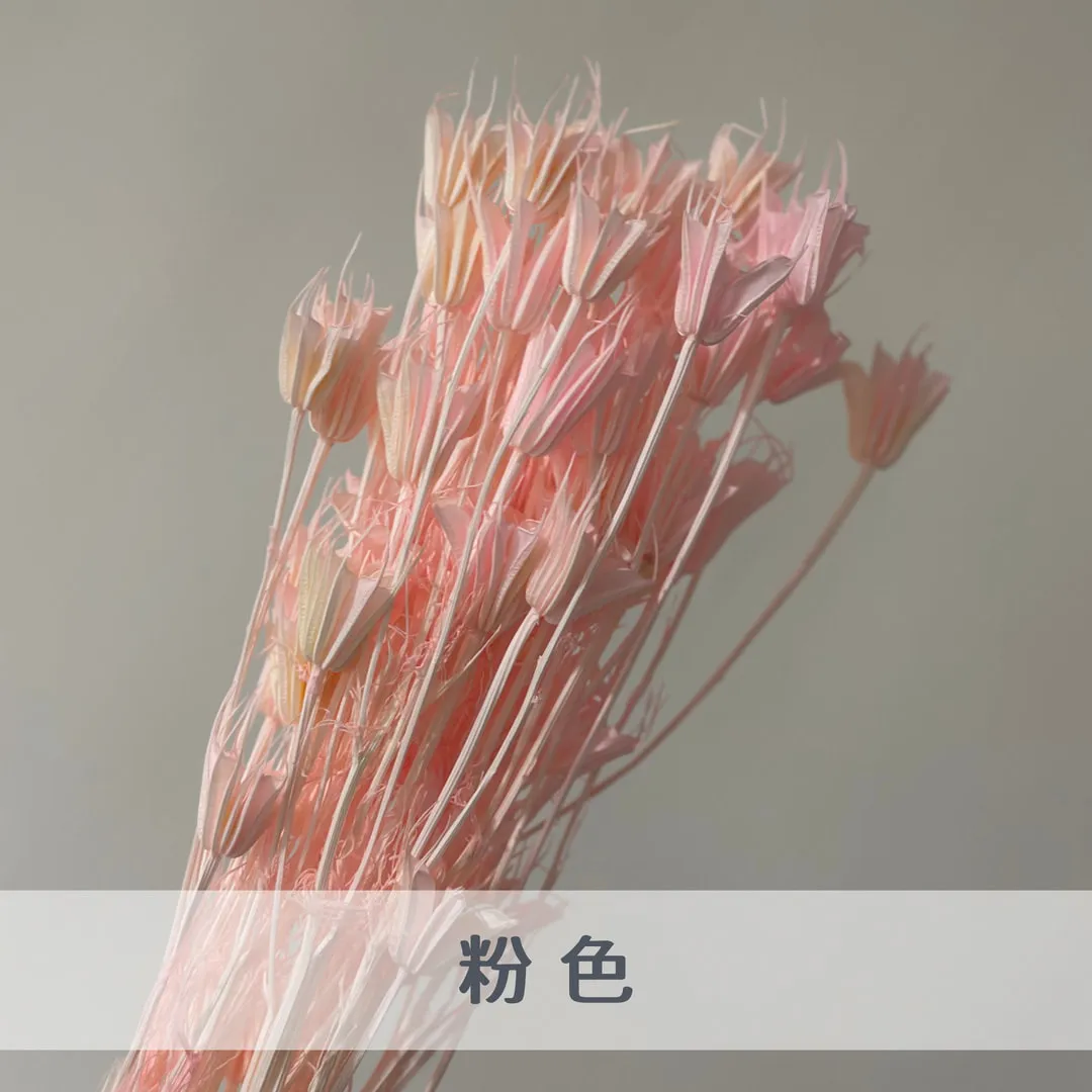 乾燥木百合（八角花）