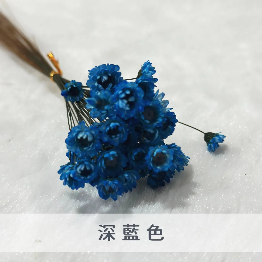 巴西小星花（50枝裝）