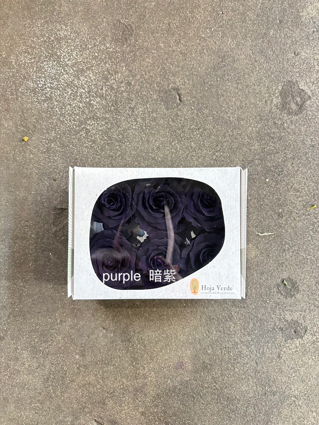 Hoja Verde(厄瓜多)6輪中