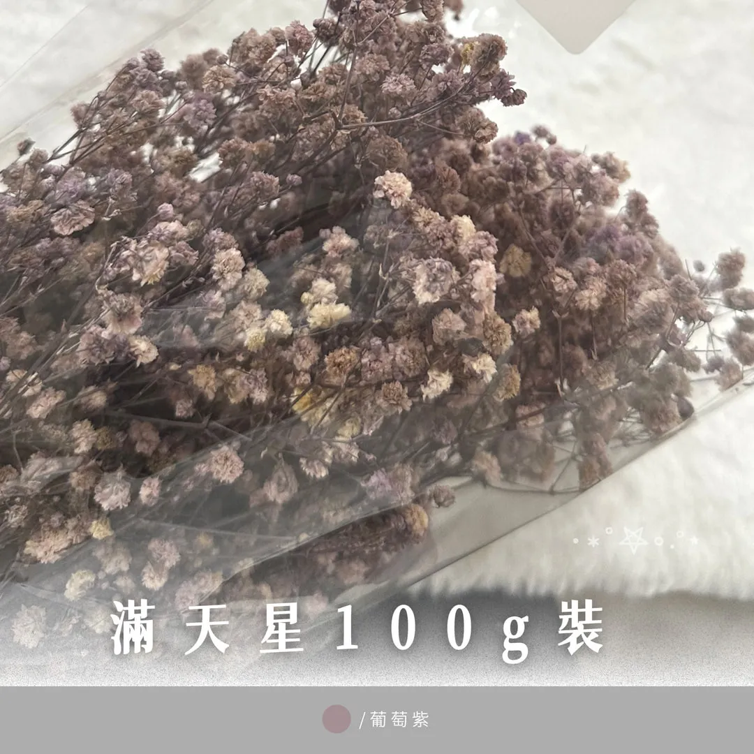 滿天星100g