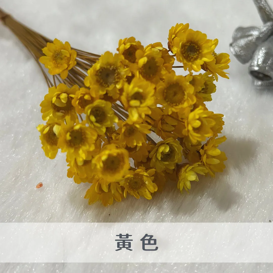 巴西小星花（50枝裝）