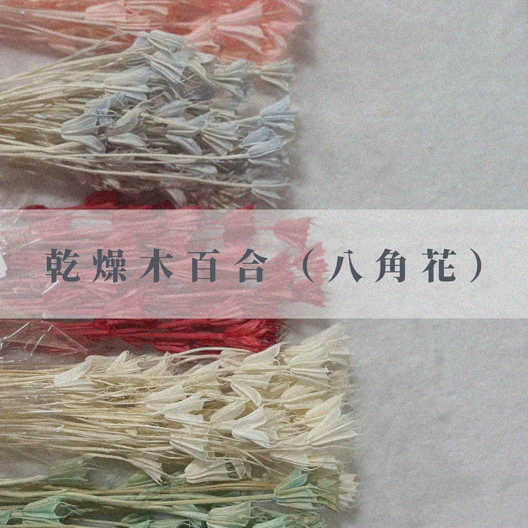 乾燥木百合（八角花）