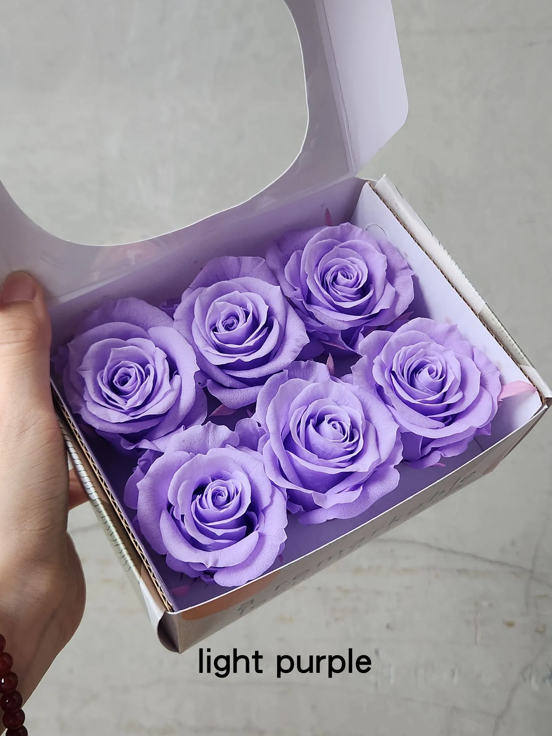 Hoja Verde(厄瓜多)6輪中