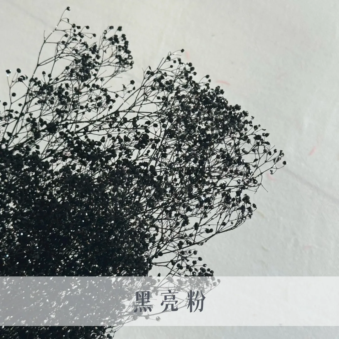 日本永生迷你滿天星