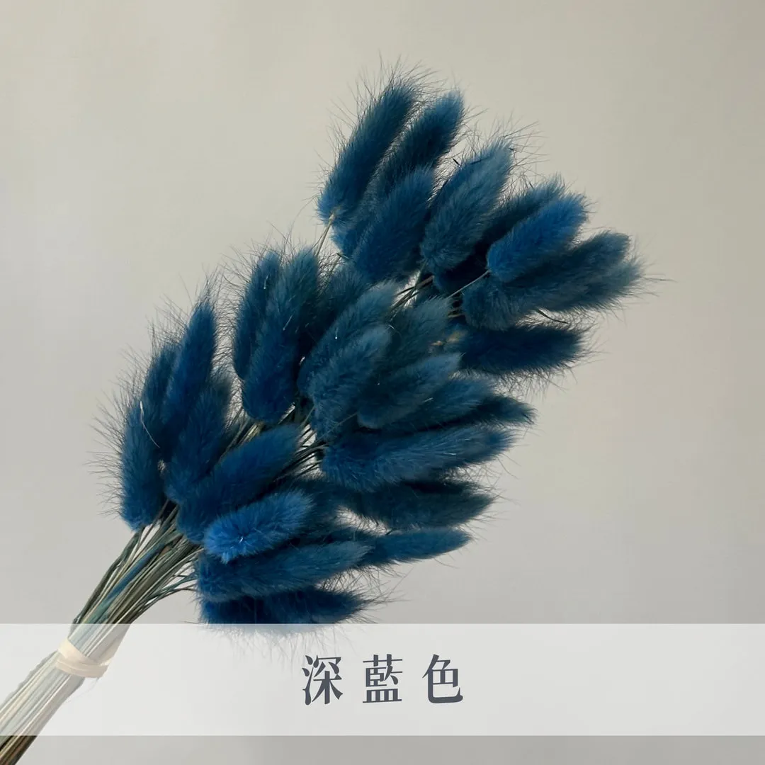 永生兔尾草（60枝裝）