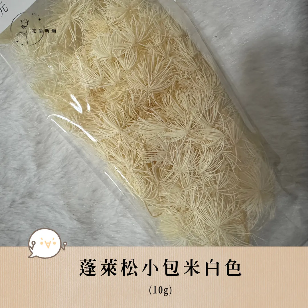 蓬萊松10g小包裝