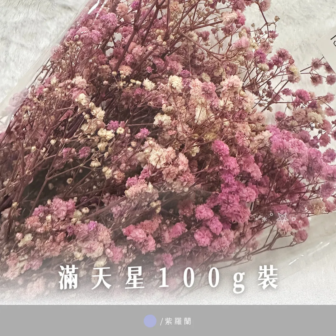 滿天星100g