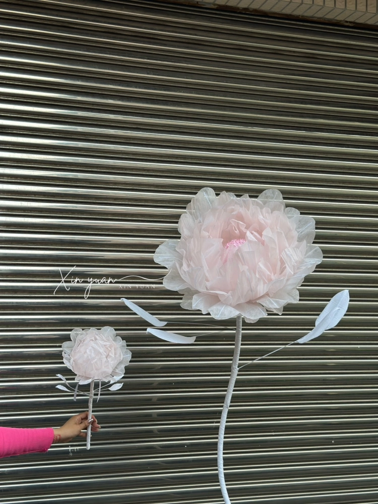 巨型芍藥花