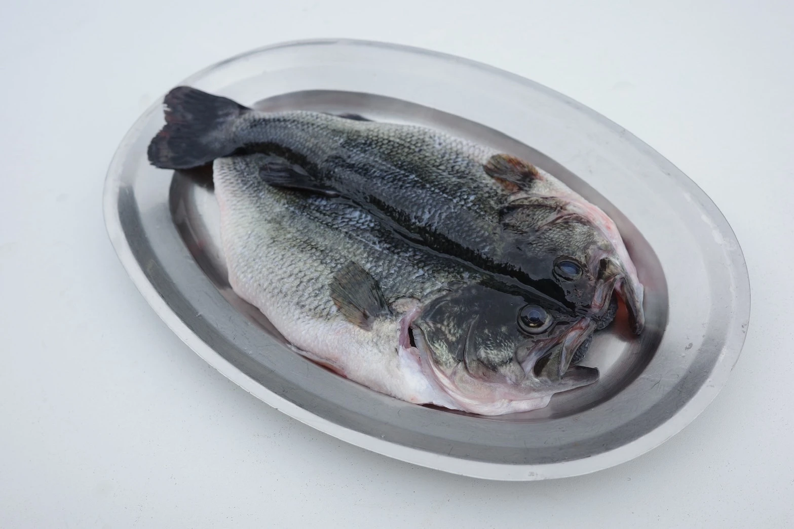 山泉鱸魚（斤/$190）