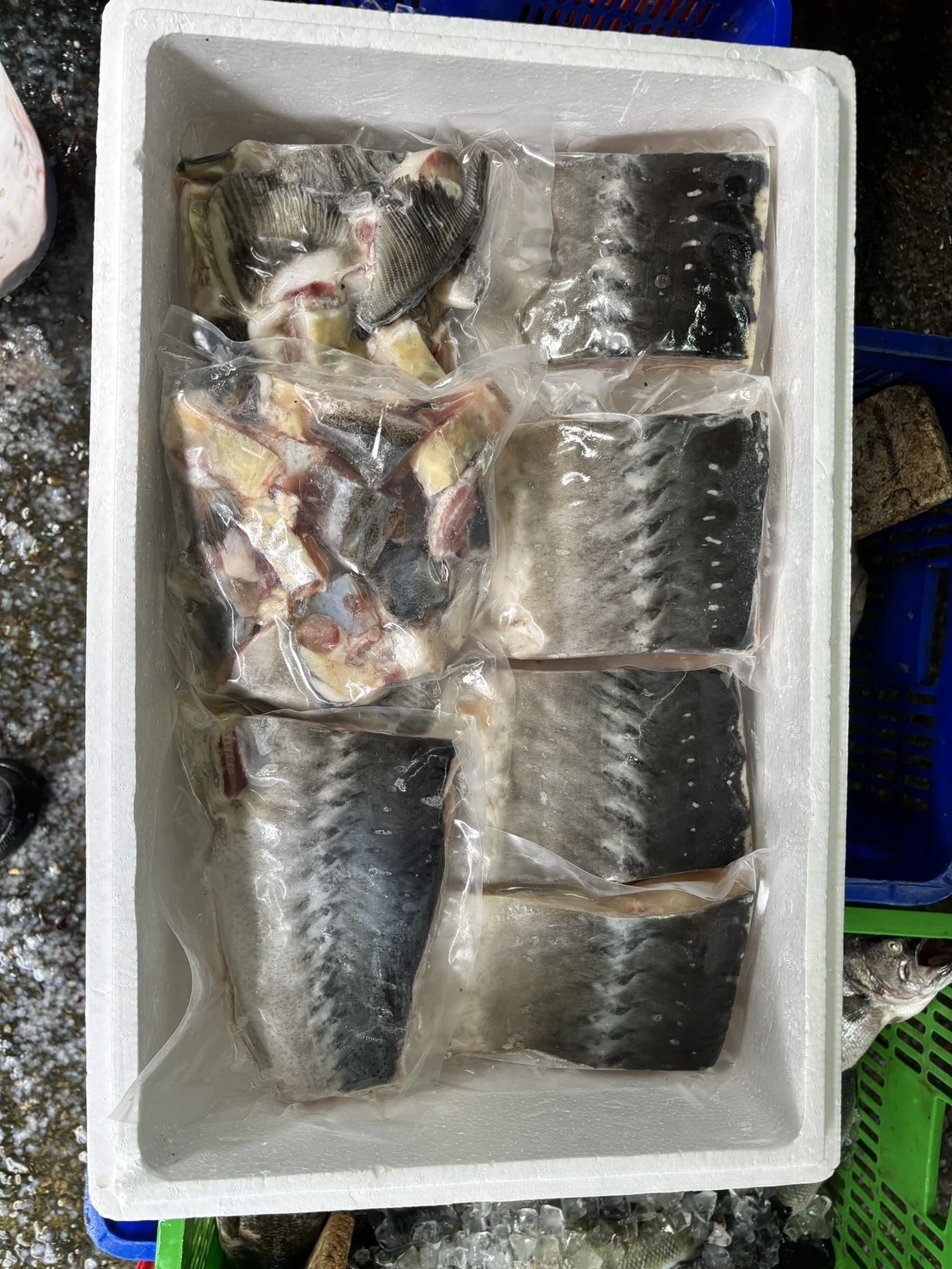 鱘龍魚（斤/$350）