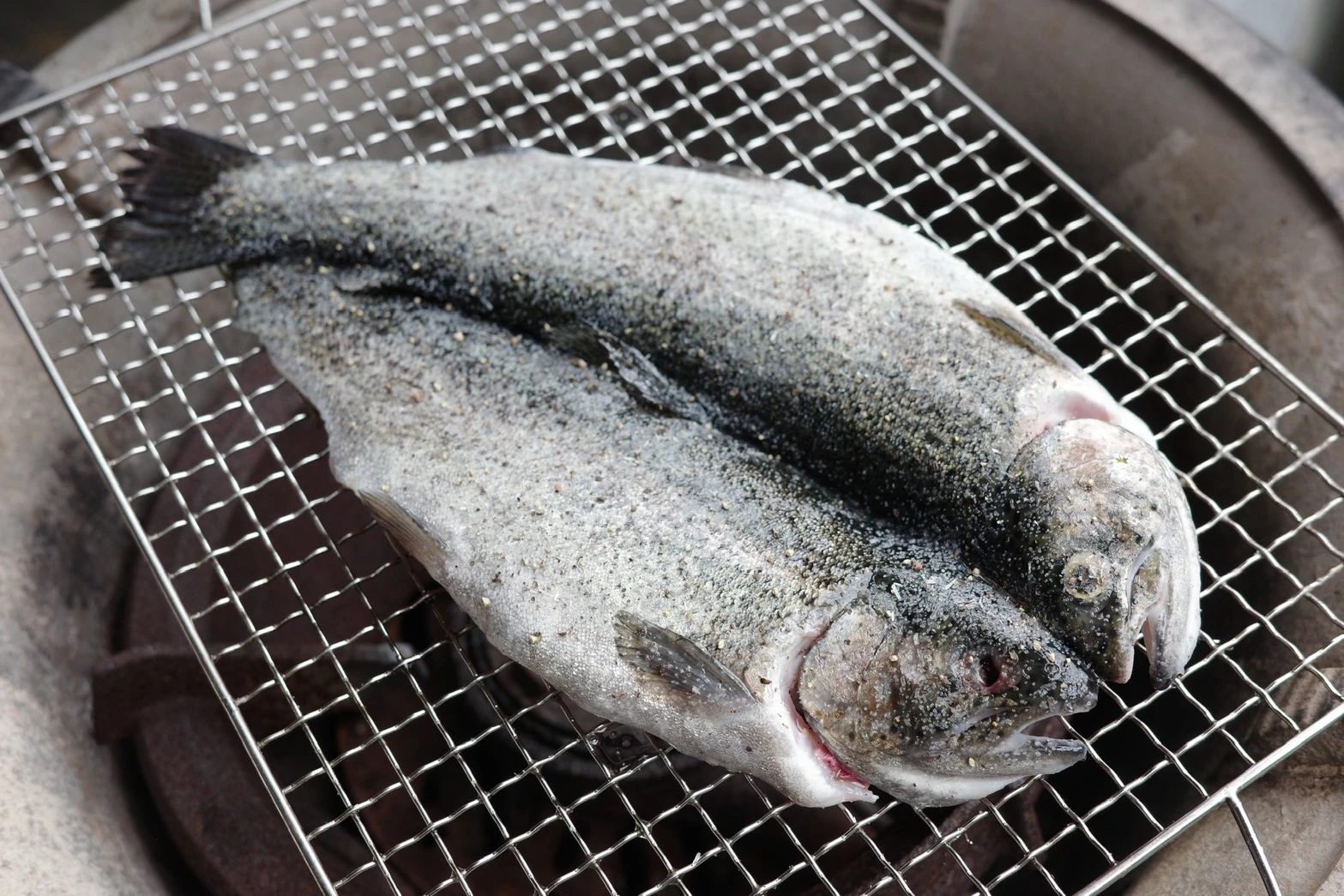 黑胡椒醃鱒魚（斤/$350）