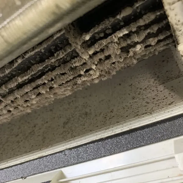 你還在吹帶著霉味的冷氣嗎?