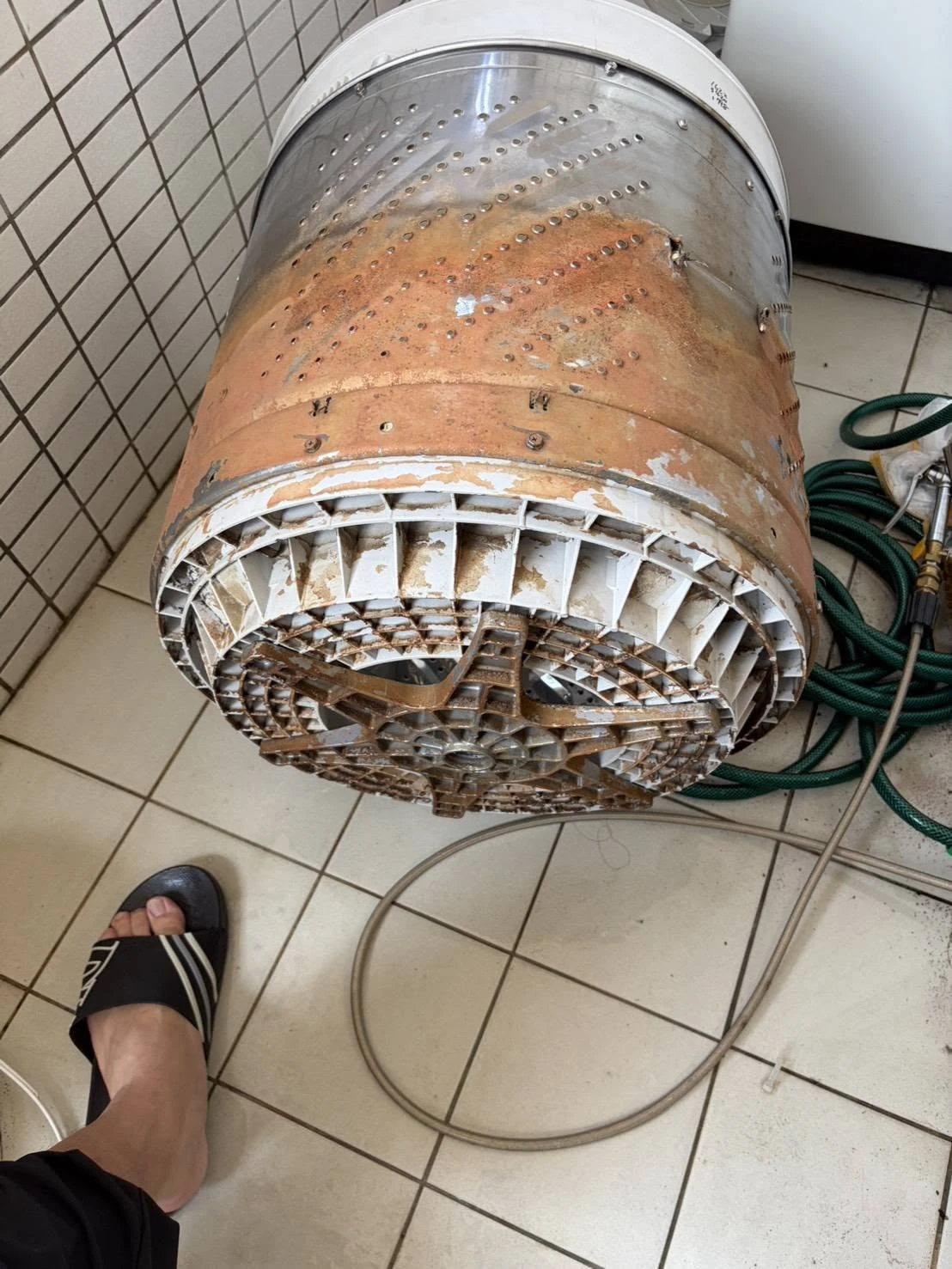 嘉義洗衣機清洗｜直立式洗衣機保養
