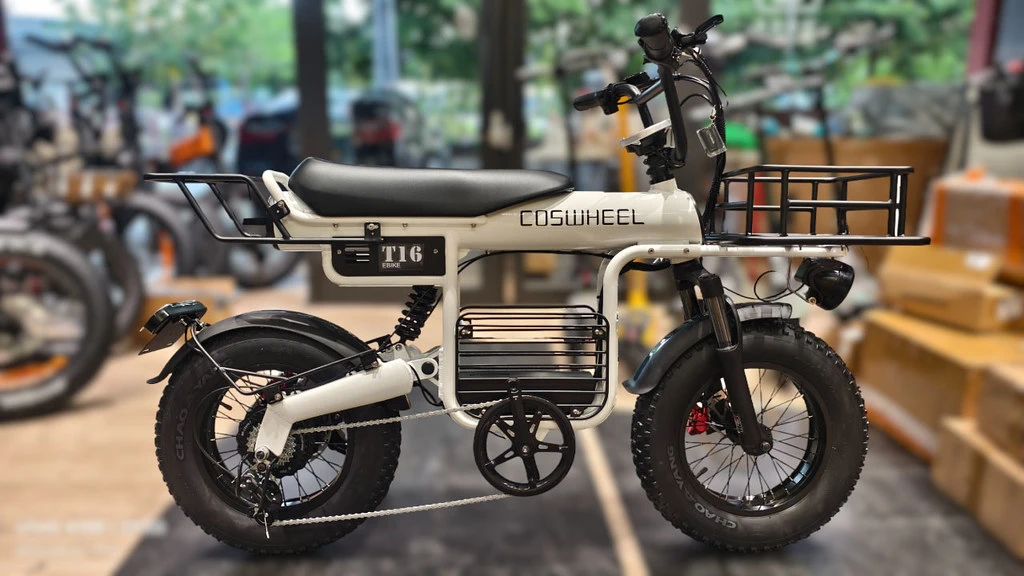 電輔車如何充電？桃園電輔車/中壢電動腳踏車