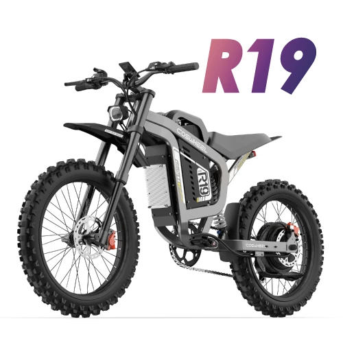  R19 越野電輔車