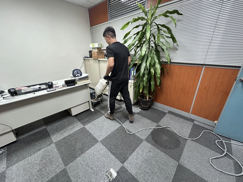 十多年未清洗地毯