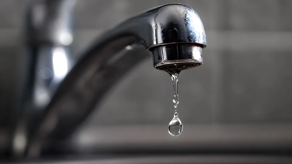 從小細節開始省大錢：廚房衛浴小物的省水心法