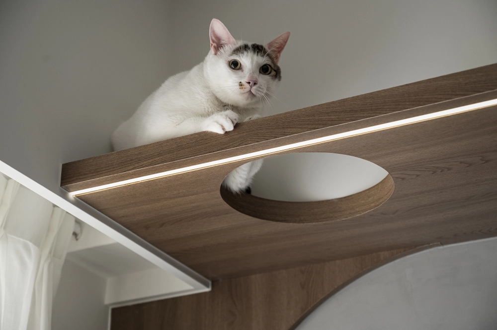 香寓蒔光｜桃園室內設計