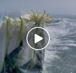 乘著風。迎著浪花