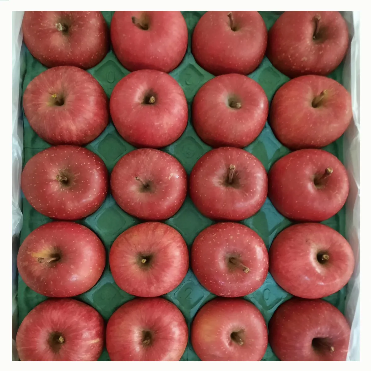 日本青森富士蘋果/原箱