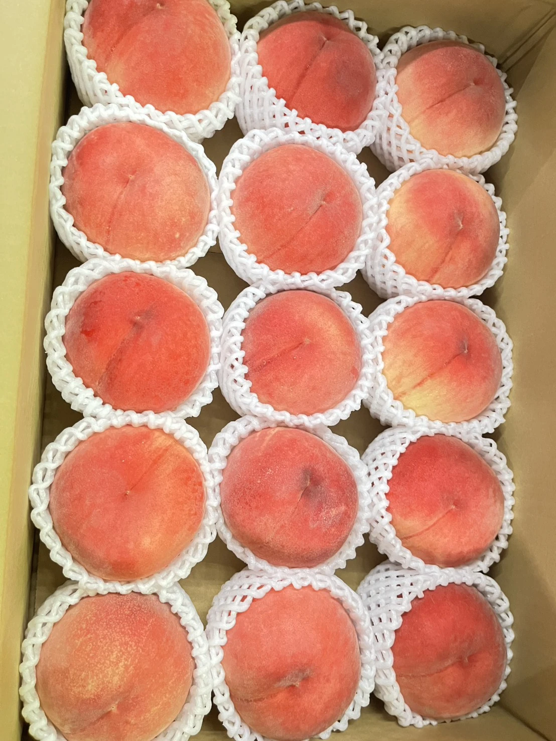 日本山形水蜜桃