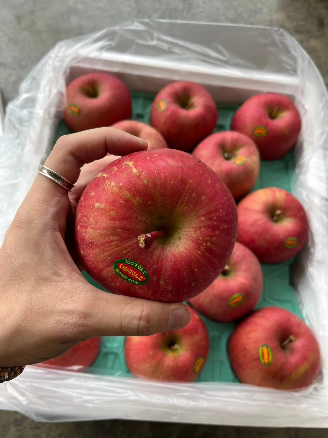 日本青森富士蘋果/原箱