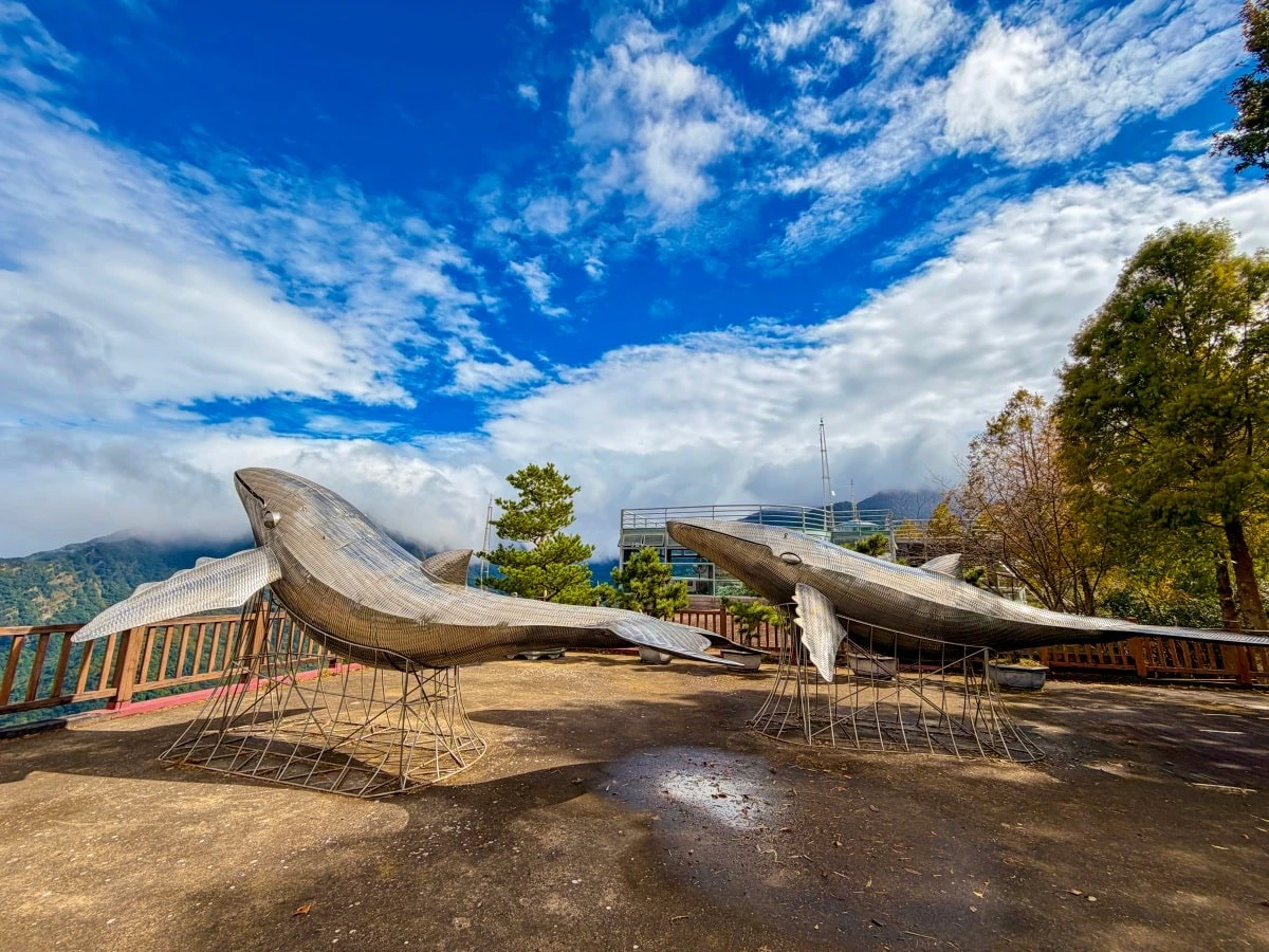 感謝毛寶旅遊團的厚愛，再次走出新高度！新竹尖石數碼天空景觀露營區，風景真的是無話可說