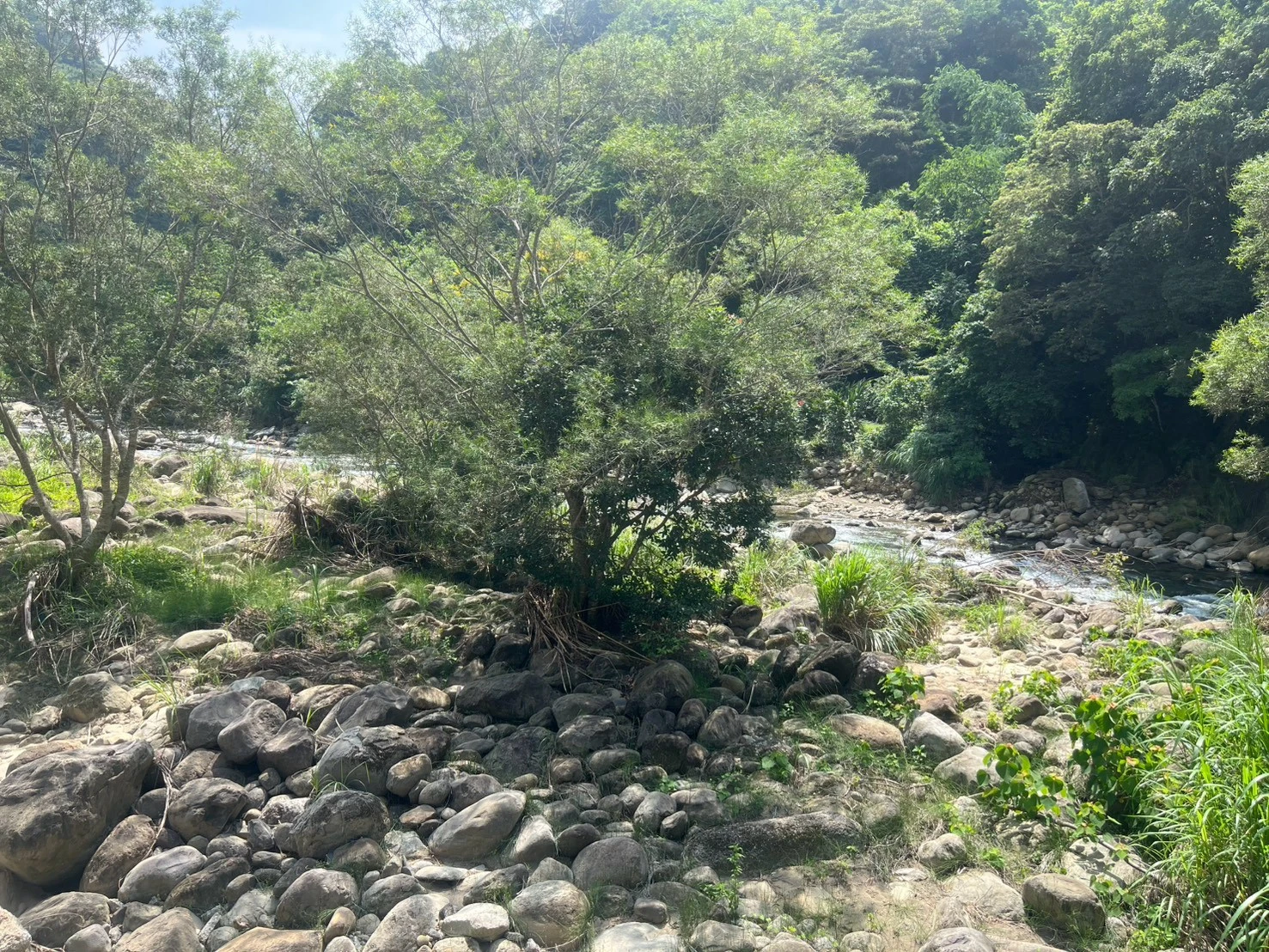微笑山妍～誰說露營區不能包餐～團露也能輕鬆渡過休閒假日