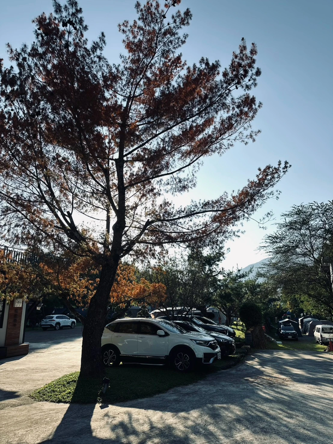 感謝 餐風露宿團主的肯定，再次找啤老闆一同征服鹿谷凍頂烏龍營區～為大家打理三餐