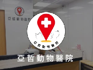 如何挑選適合的動物醫院？