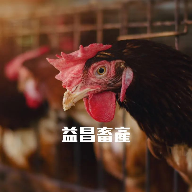 示範A