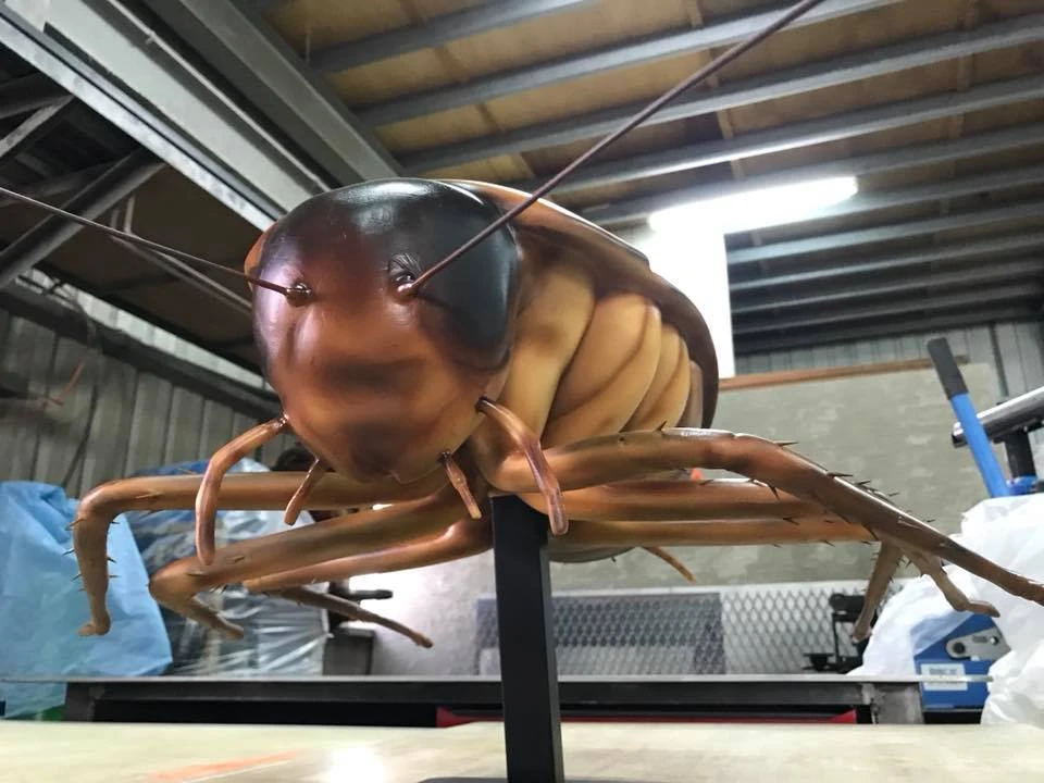 昆蟲展覽 蟑螂寫實模型