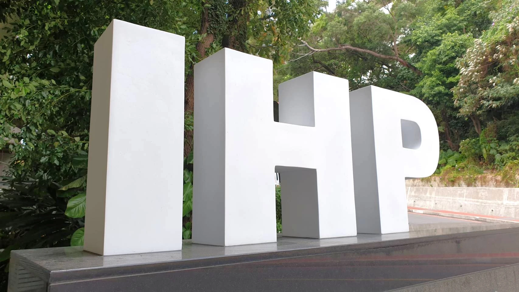 陽明醫學院 IHP字