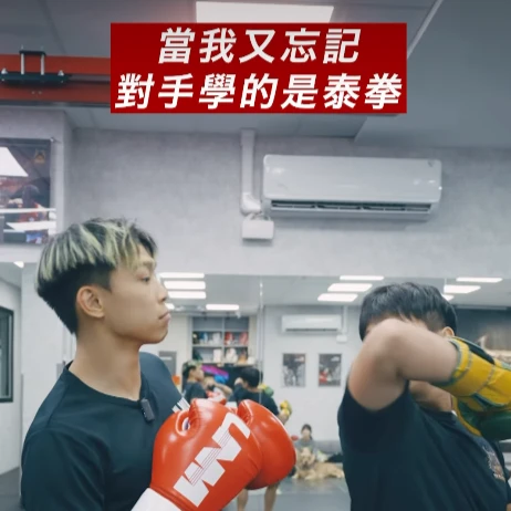 續集來了