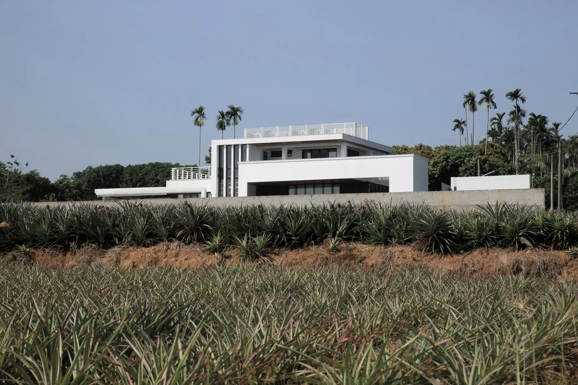 半山建築