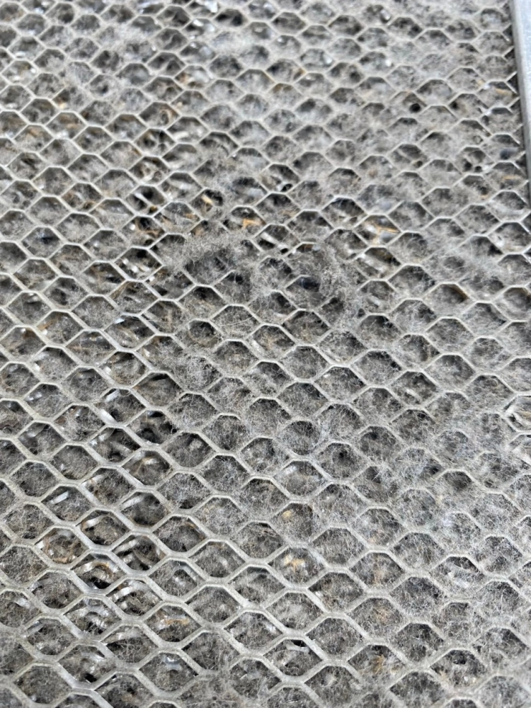 空氣清淨機保養 | 空氣清淨機廠商