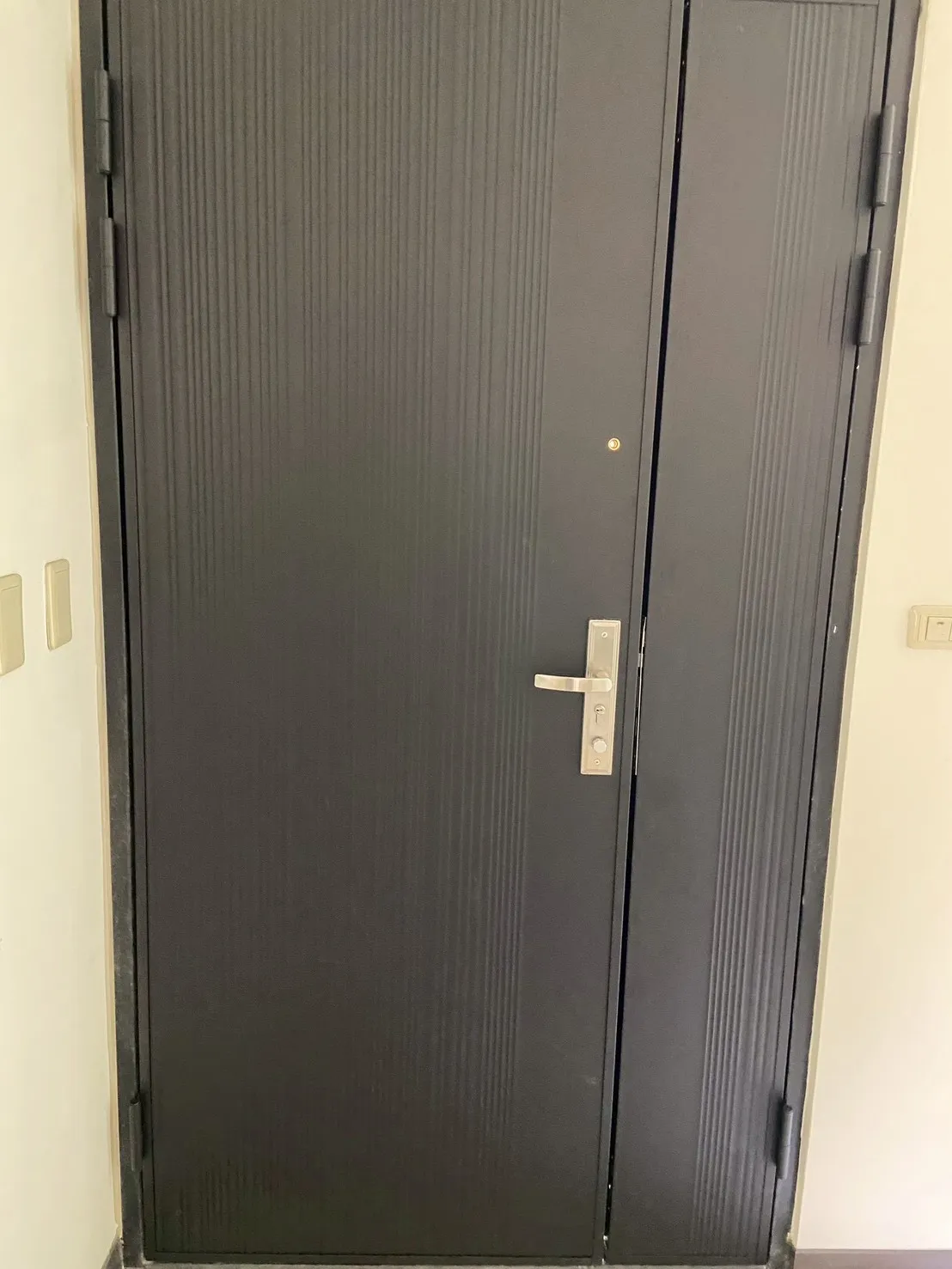 不銹鋼造型玄關門