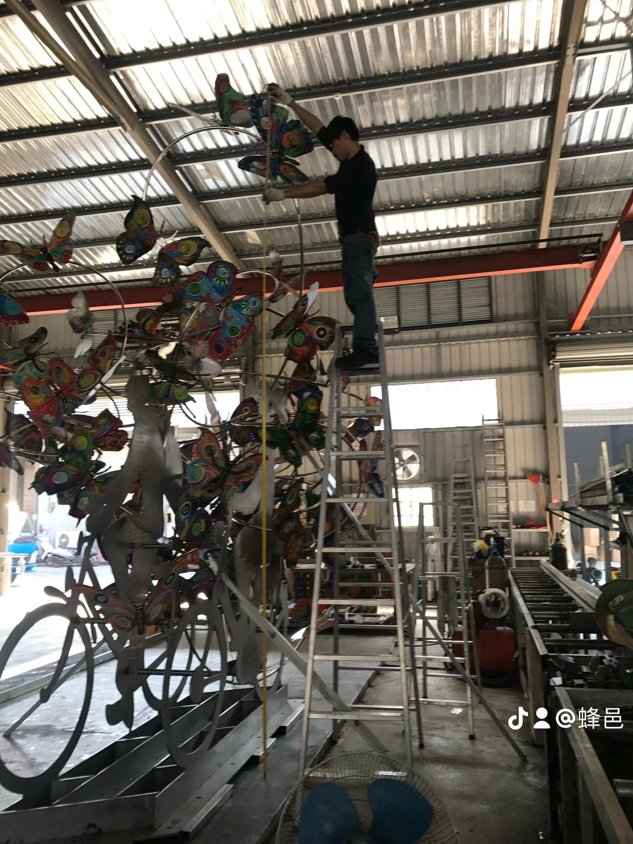 台南美術二館《飛蝶舞 悠遊時光》