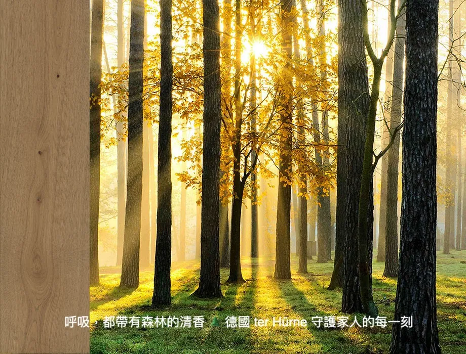 德國ter Hürne 德諾頂級木地板：經典系列