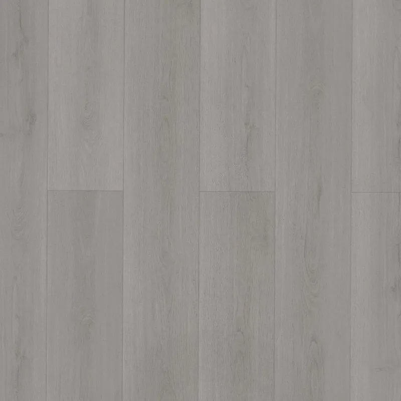 別府灰橡