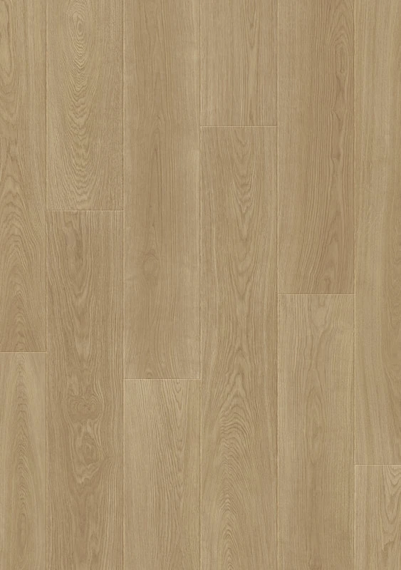 861108 Wynn Oak 韋恩橡木