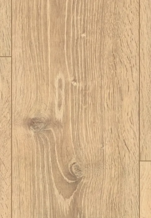 貝弗德淺橡｜EL2431